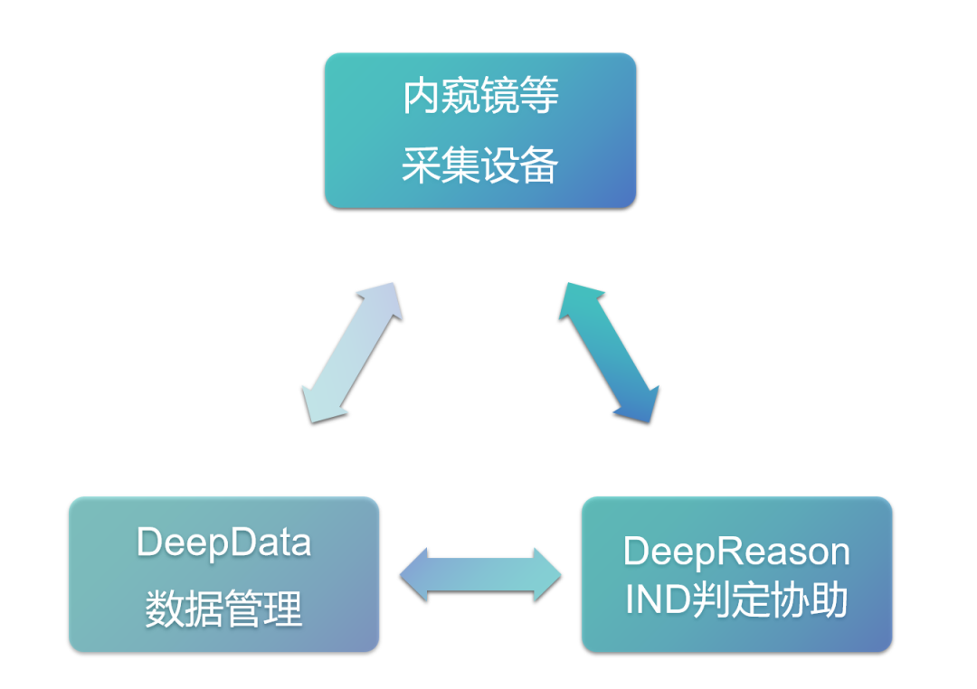 重磅新品:DeepData与DeepReason IND，ApexScope的双核引擎